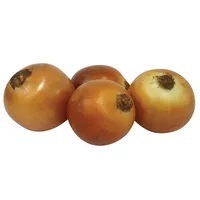 Cebola